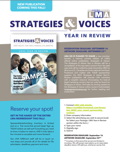 Strategies & Voices Year In Review sample cover